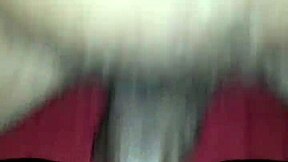 exploring the beauty of a glistening wet flower