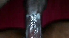 exploring the beauty of a glistening wet flower