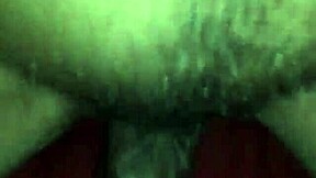 exploring the beauty of a glistening wet flower