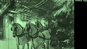 Vintage Antique Drawings from Retro Collections