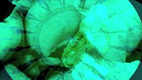 Vintage Antique Drawings from Retro Collections