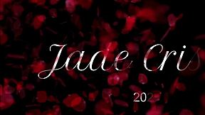 Furniture Assembler Pounds Housewife