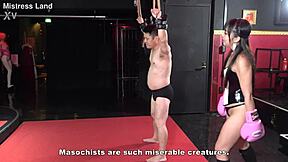 Japanese female domination human sandbag?