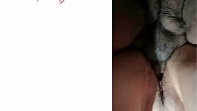 मैं इस सुंदर ब्रूनेट निम्फ के पर्की अस, स्मूथ पसी और नर्डी फेस पर हमेशा पागल रहा