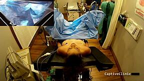 human guinea pigs - phoenix rose