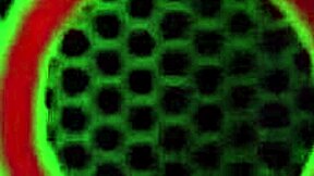 Vicky Vette Stretches Her Ass With A Big Glass Dildo On The Bed