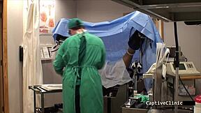 human guinea pigs - phoenix rose