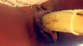 Veggie Anal Assfucking With Food And Pussy Sex