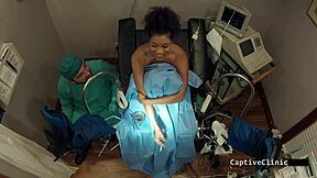 human guinea pigs - phoenix rose