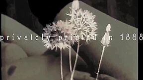 in olden days a glimpse of hairy stocking