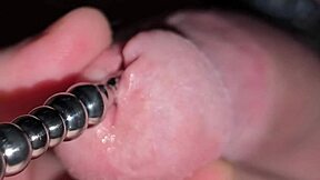 My Wife Jayq Casually Destroys My Tiny Penis with Cbt and Bondage