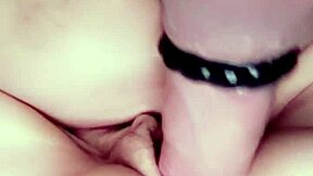 Danielle roy squirts on cody roy