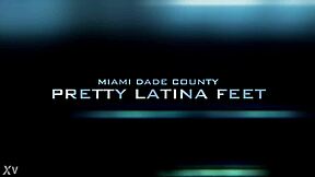 No Love Yes in Hollywood