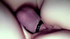 Danielle roy squirts on cody roy