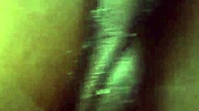 House maid helps landlord for home support