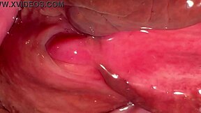 amateur pink pussy licked 172 days after virginity loss with wet masturbation and fucking