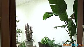 Chubby Lesbian Cougar Strapon Fucked