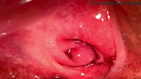 amateur pink pussy licked 172 days after virginity loss with wet masturbation and fucking