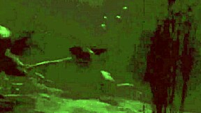 Dark lantern entertainment presents beauty and the beast