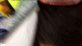 Amateurs engage in wild blowjob and couple sex madness in the bathroom