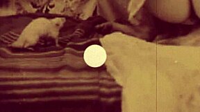 Dark lantern entertainment presents beauty and the beast