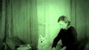 Dark lantern entertainment presents beauty and the beast