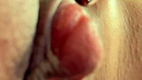 My name! she shouted during muff diving, rosa vermelha