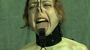 Tell me your sadomasochism stories?