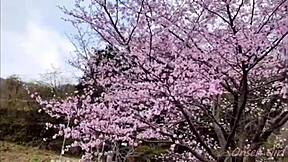 Solo adventure exploring Gunma's Minakami natural hot springs with Nacchi Travel