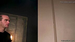 Shemale Dommes Fuck Men Anal?