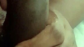 Jill Wettmout Sloppy Blowjob Close Up