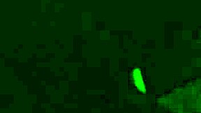 My Dick Sucking Vixen Can't Get Enough