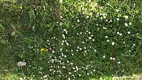 Exciting Benson Con in France