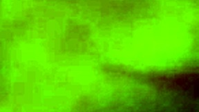 My Dick Sucking Vixen Can't Get Enough