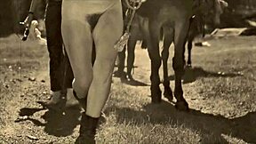 Dark Lantern Entertainment Presents From My Secret Life The Erotic Confessions Of A Victorian English Gentleman