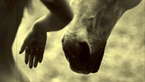 Dark Lantern Entertainment Presents From My Secret Life The Erotic Confessions Of A Victorian English Gentleman