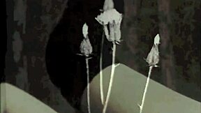 What Secrets Lie in Two Centuries of Vintage Porn?