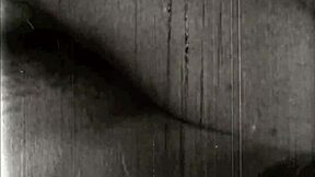 Vintage Erotic Art Featuring Hairy Beaver And Retro Pussy