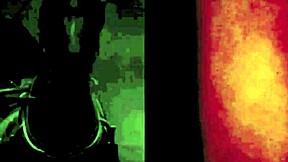 Vintage Erotic Drawings