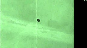 Vintage Erotic Art Featuring Hairy Beaver And Retro Pussy