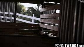 Stepsiblings share big cock!