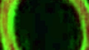 Sara Jay Gets Horny and Plays with Toys in Her Bedroom