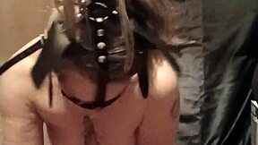 2025 01 19 Esclave F Autoseance En Ponygirl Humiliee