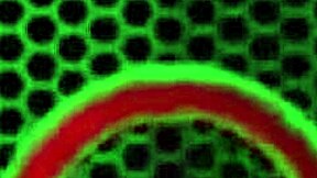 Sara Jay's Exciting Adventures