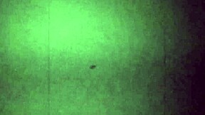 Fight Night Starring Alexandria Wu And Clifford Bryant In Interracial Wrestling Match