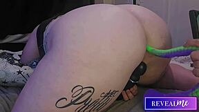 revealme curvy babes kinky & anal dildo fuckfest