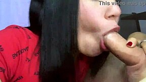 cute petite latina girlfriend's homemade hobby deepthroats cock close-up