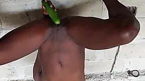 big clit pussy lips drip as upside-down cucumber drives screams