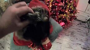 Milfycalla as santa tells cheating wife milf slut to worship her huge ass now - preview