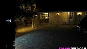 translicious babe annabelle lane surprise pounded by gabriel dalessandro